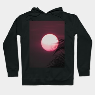 Moon, Palm, Tropical landscape palms, Sky, Nature print Hoodie